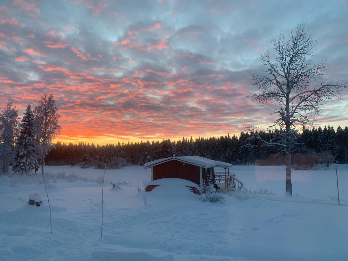 Luxus Tiny House Saagala Tornio Exterior foto